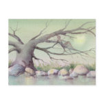 FAIERIE in the TREES by SHARON SHARPE Post Card