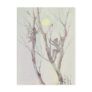 FAIERIES in the TREES by SHARON SHARPE Post Card