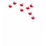 Failwhale Ladies Basic T-Shirt