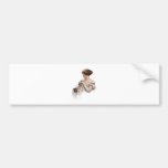 Fair Maiden Teases a Kitten Bumper Sticker