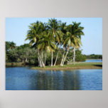 Fairchild Tropical  Botanic Gardens Print