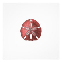 Faire-part de mariage moderne rouge du dollar de s
