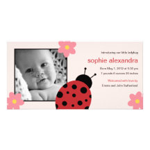 Faire-part de naissance doux de bébé de coccinelle cartes de vœux avec photo