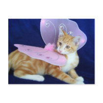 Fairies fly post cards