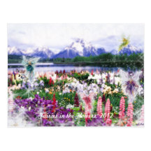 Fairies in the Flowers Postcards