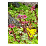 Fairies Light Up Your Life Cards