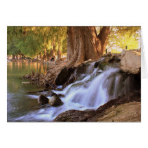Fairmount  Park - Riverside Greeting Card