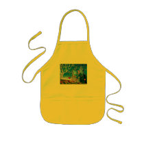 Fairy Artist Faery Aprons
