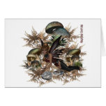 Fairy Beautiful by Hardcore Couture Cards