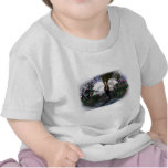 Fairy Dreams Tee Shirt