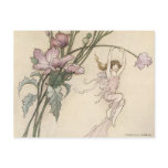 Fairy full of Joy Postcard