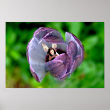 Fairy in a Flower Poster