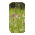 Fairy mushroom coques Case-Mate iPhone 4