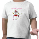 Fairy Princess 1st Birthday Tshirts and Gifts