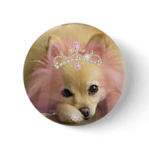 fairy princess dog with diamond crown