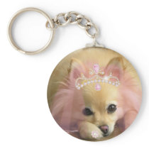 fairy princess dog with diamond crown