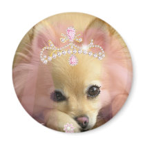 fairy princess dog with diamond crown