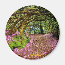 Fairy Tunnel, Kenmare Magnets