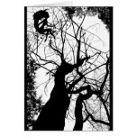 FAIRY WEBBY TREE B&W CARD
