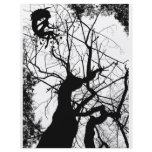 FAIRY WEBBY TREE B&W flyers