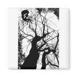 FAIRY WEBBY TREE B&W MAGNETS