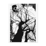 FAIRY WEBBY TREE B&W POST CARDS