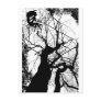 FAIRY WEBBY TREE B&W POST CARDS
