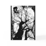 FAIRY WEBBY TREE BUBBLES B&W CARD