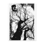 FAIRY WEBBY TREE BUBBLES B&W postcards