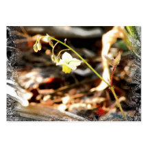 Fairy Wings Bloom ~ ATC Business Card Templates