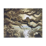 Fairyland: Asleep in the Moonlight Postcards