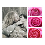 Faites gagner la date, roses roses votre carte pos cartes postales