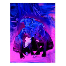 Faith Hope & Charity, Abused Pit Bull Dogs Postcards