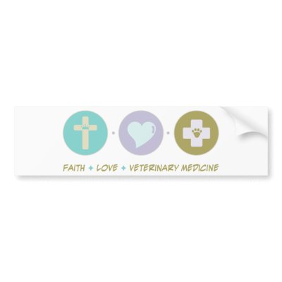 Faith Love Veterinary Medicine Bumper Sticker by sciencewillprevail