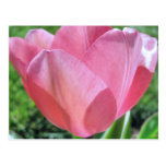 Faith Matters Post Card