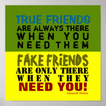 FAKE vs TRUE ~ 12x12 Poster