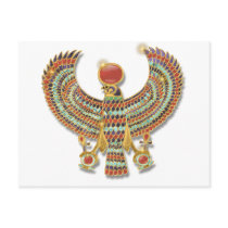 Falcon pectoral