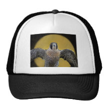 Falcon Peregrine Falcon Ball Cap Hat