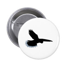 Falcon Pin