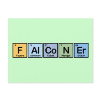 Falconer made of Elements Postcard