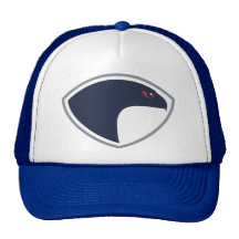 Falcons Mesh Hat