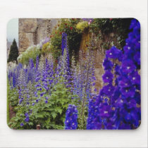 Falkland Palace and flowers, Perth flowers mousepads