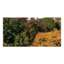 FALL15 PERSONALIZED PHOTO CARD
