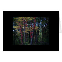 Fall 2010 greeting card