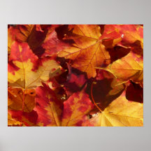 Fall Autumn Leaves Poster
