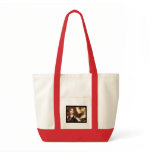 Fall Bags