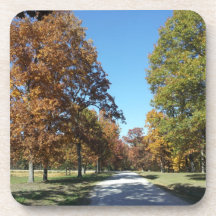 Fall Beauty Beverage Coasters