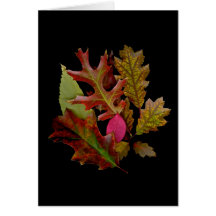 Fall Beauty Card