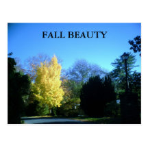 FALL BEAUTY postcard