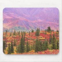 Fall colour in Denali National Park Mouse Pads